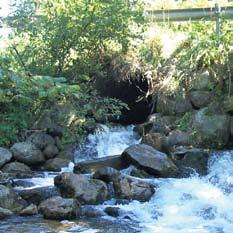 With an estimated cost of $250,000, a timber bridge will provide: more structural capacity to handle fluctuating stream flows, sediment control, and natural stream bottom conducive to aquatic insect