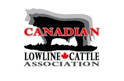 CANADIAN LOWLINE CATTLE ASSOCIATION June 2013 In this Issue News Houston show and sale
