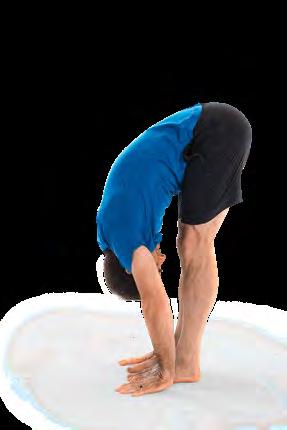 Release the neck and reach the crown of your head toward the mat. You should feel a stretch in the back of the legs.