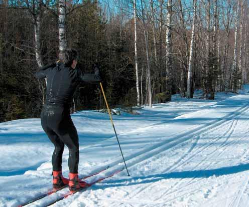 research to evaluate the most essential factors influencing ski gliding.