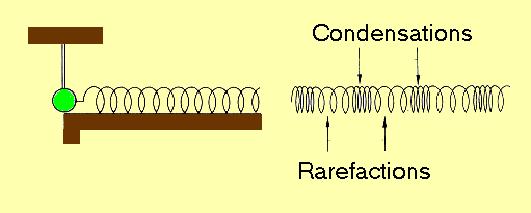 Production of a Longitudinal Wave l l An oscillating pendulum produces condensations and rarefactions that