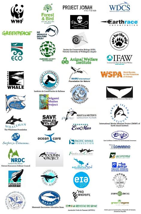 Letter to John Key WWF letter signed by 50 national and international organisations October 24 th The motion urged the New Zealand government to expand the areas of protection from gillnetting and