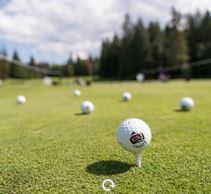 WHAT IS THE GOLF CLASSIC & GALA? This year marks the 17 th annual PROVAIL Golf Classic and Gala!