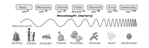 Speed The wave speed is the speed at which any part of the wave moves. It is not the speed of the particles of the medium. If we replace the period with 1/f, we get a new formula for wave speed.