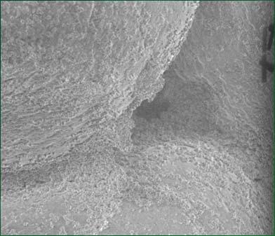 SEM of sand grains 5 10 micron silicate particles 1 mm sand grains At 46 cm into bed after 3 hrs Graphic: Courtesy of Water Quality &