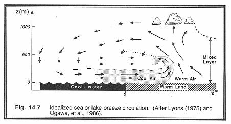 Sea breeze Sunny, calm morning: Convection heats PBL air over land => high pressure at the top of PBL => flow to sea => PBL mass loss => thermal low (1 mb) in land surface pressures => nearsurface