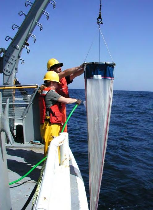 Methods Hydrography from CTD profiles Copepods with ½ m diameter 200 µm mesh