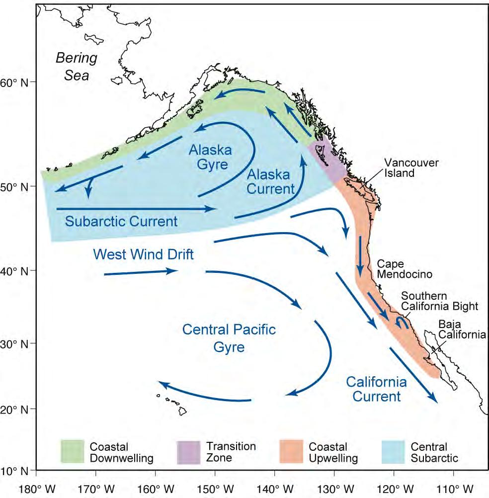 Circulation off the Pacific Northwest Subarctic Current brings cold water and northern species to the N.