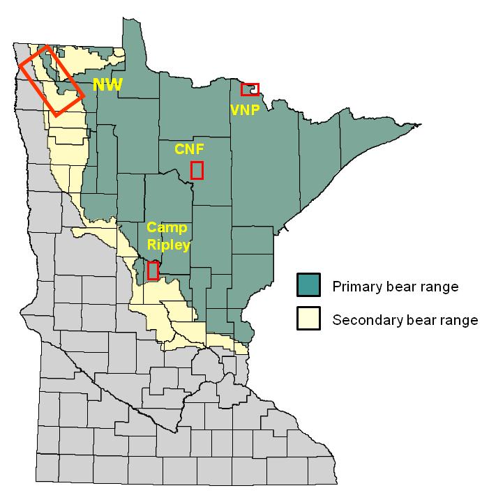 Research Began in Early Days of Minnesota s Bear Management 1971: Bear classified as big game species: bear or deer license required to hunt. 1978: Bear harvest exceeds 1,000.