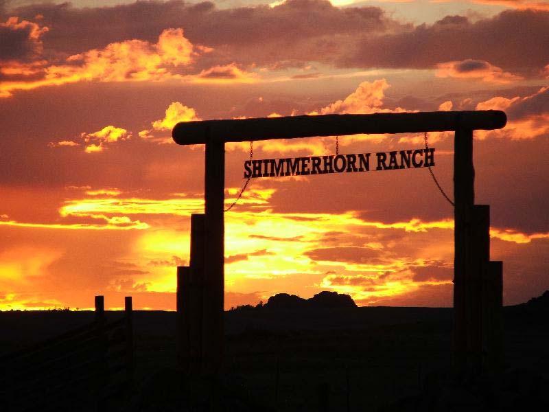 Both cities offer ample medical facilities, restaurants, retail shopping, employment and cultural activities. The Ranch is in close proximity to Curt Gowdy State Park and Vedauwoo Recreation Area.