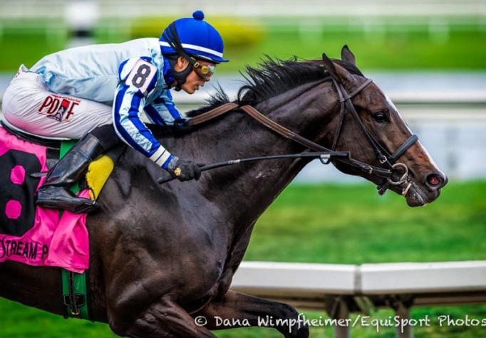 He kept rolling this year with impressive prep performances on the Derby trail, but luck was not with him the first Saturday in May, as he finished last of 18, his only off-the-board result in nine
