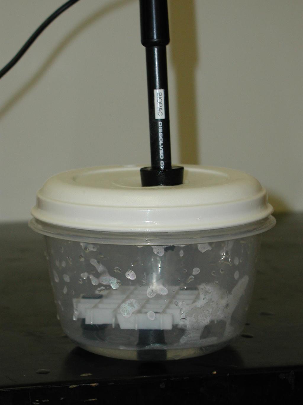 water, but not overly exercise or stress the fish (i.e., no whirpools!). A false bottom made from plastic grate mounted on rubber stopper "feet" keeps the fish from being beaten-up by the stir bar.