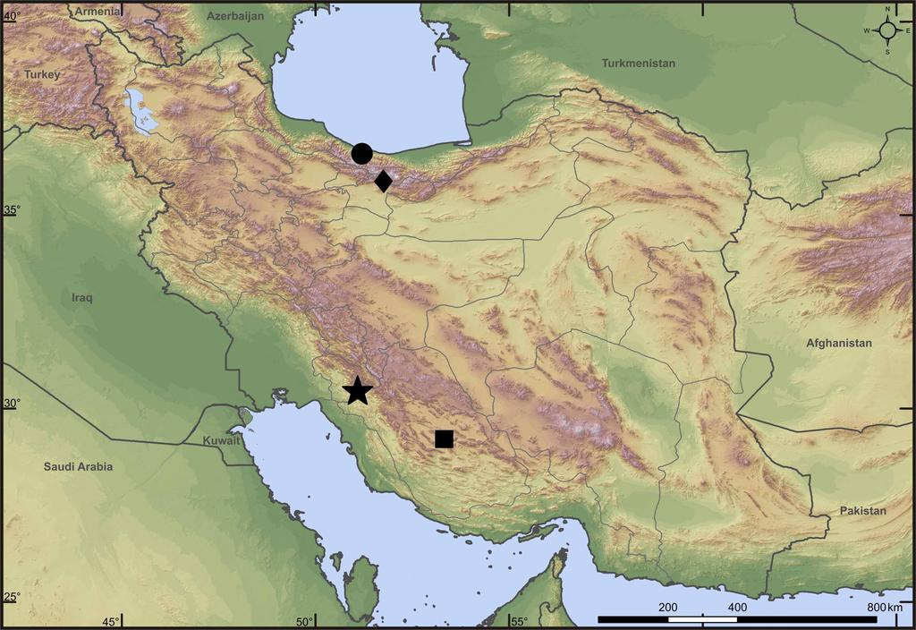 5 Figure 3. Map of distribution records for the genus Evarcha in Iran. Circle, E. arcuata. Diamond, E. negevensis. Square, E. praeclara. Star, E. dena sp. n. Acknowledgements We are grateful to Dr.