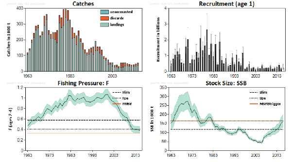 Figure 3-1; Stock trends in North Sea cod.