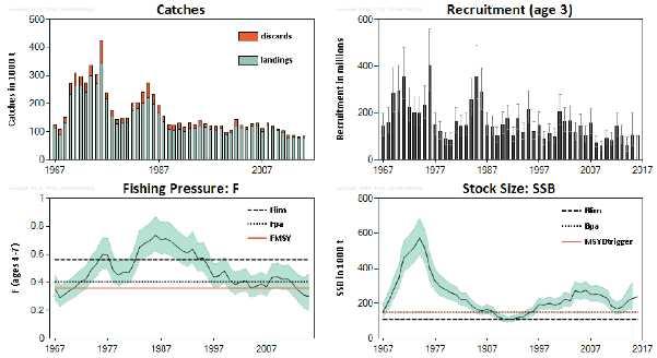 Figure 3-4; Stock trends in North Sea saithe.