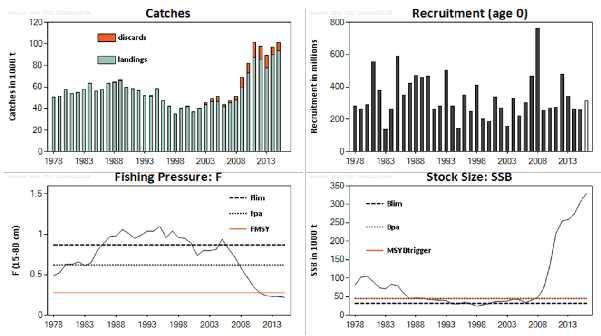Figure 3-7; Stock trends in Northern Hake. From ICES (2016).
