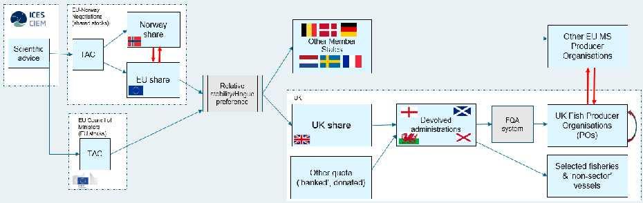 Figure 4-1; A diagrammatic representation of the TAC-setting and quota allocation process for North Sea