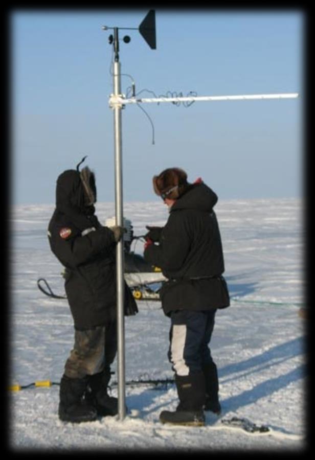 Wildlife in the EMR region (Polar and black bear, beluga, snow geese) Collect data on ice and weather conditions (for example, weather stations, still cameras, ice probe, water level gauge)