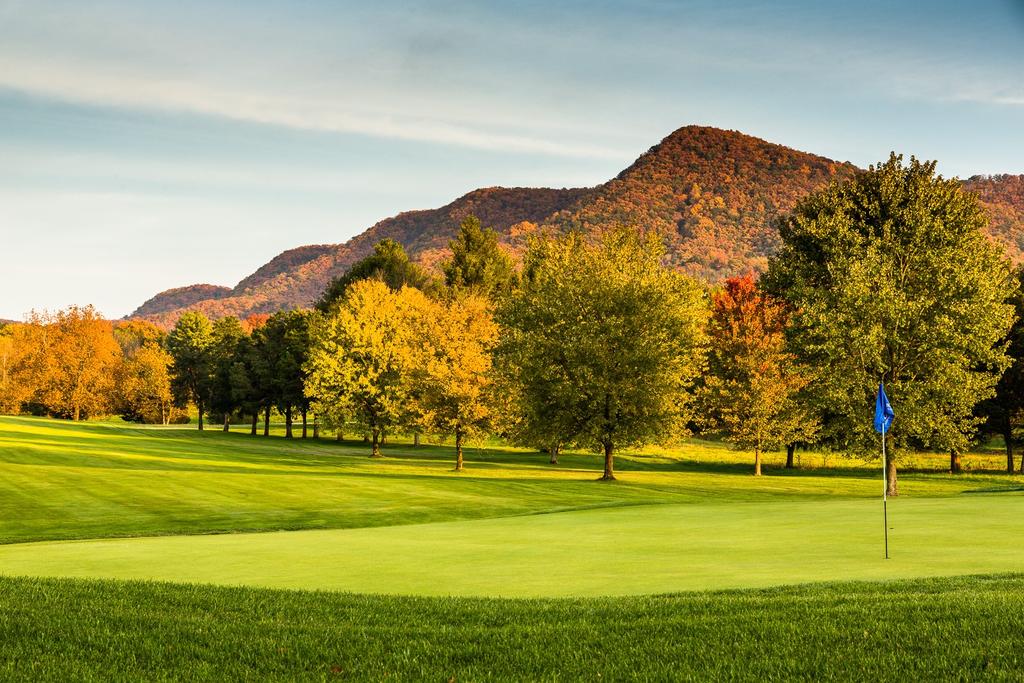 YOUR CLUB IN THE COUNTRY... B lacksburg Country Club is a member-owned full service country club founded in 1956. The Club has approximately 630 memberships, including 400 golf and 150 recreational.