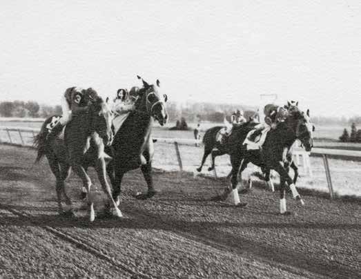 Claiborne boasts an unparalleled five Futurity winners, a testament to the acumen of generations of Hancocks.