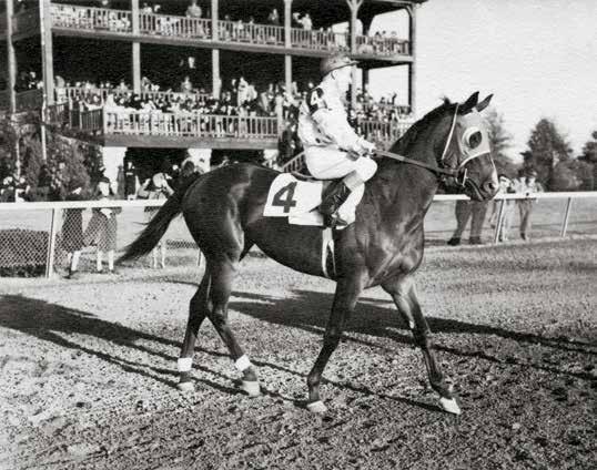 Round Table went on to be arguably the greatest grass runner of all time. Swale won the Kentucky Derby; Forty Niner missed by a neck to the extraordinary filly Winning Colors in the Derby.