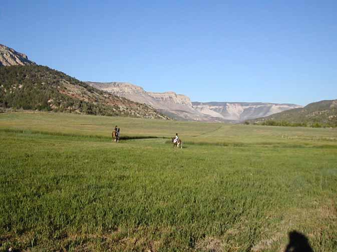 ROAN CREEK RANCH De Beque, Colorado - Garfield County This 120-acre ranch located in a private valley northeast of Grand Junction, Colorado, features gorgeous views, lush irrigated meadows, good