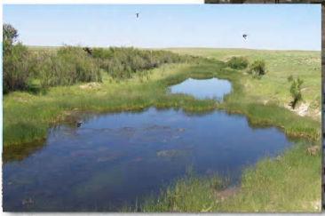 In addition to this pipeline system, there are several natural springs and several dirt ponds throughout and a few wind driven watering systems.