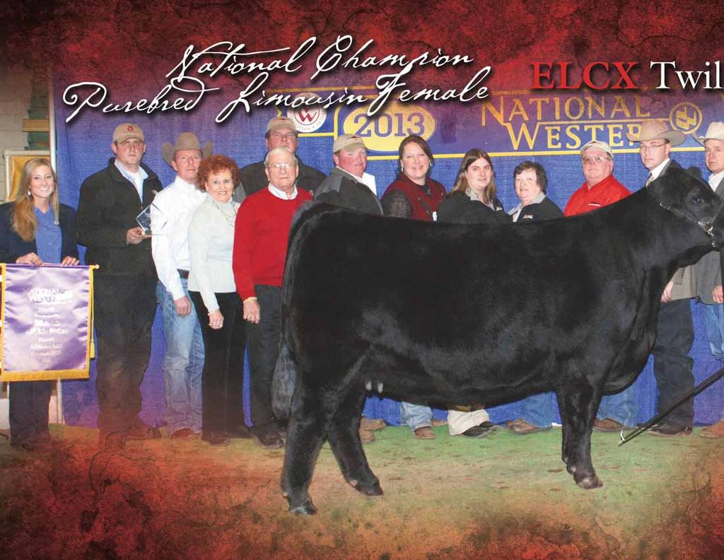 Special thanks to Mike and Heather Henderson, Bob and Euvonne Wies of Wies Limousin for purchasing half of this female in our second production sale.