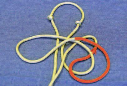 Adjust the knots until they are 11 inches apart, and tighten them up. Then take the rope and fold it with the two overhand knots together. 7 8 7.