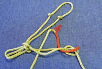 Pull the rope through until there is a loop that measures about two inches.