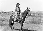 Cowboy on horseback. Spur Ranch, Texas., ca. 1908 10 LC-S6-471 Interior of Turkey Track pony stalls.
