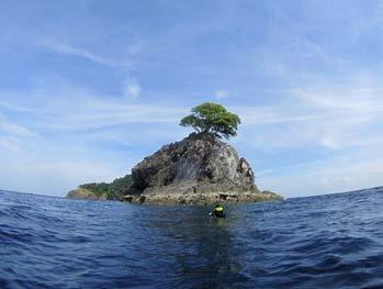 The Mergui Archipelago High Rock Characterised by just one tree on top of the limestone rock, this dive site in the Mergui Archipelago is often subject to strong currents (requiring negative entries)