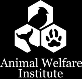 animal cruelty: Funding Training