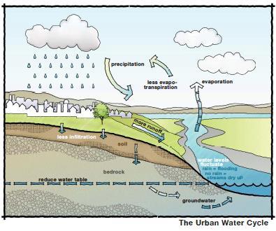 Urban Stormwater Issues Source: Puget Sound Partnership, 2012, Integrating LID into Local Codes: A Guidebook for Local