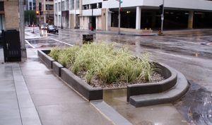 Linked Tree Wells/Curbed