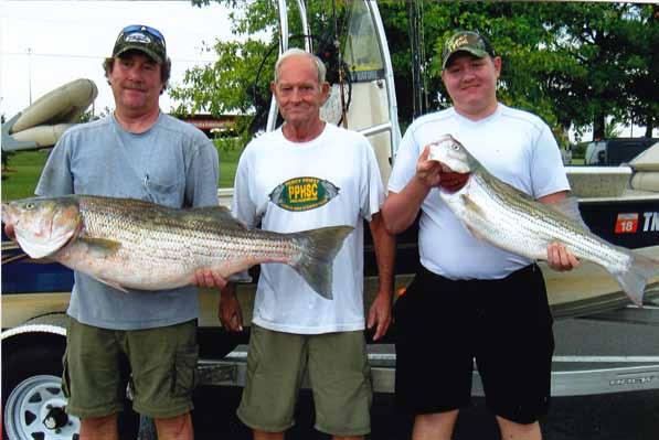 OLD HICKORY LAKE Percy Priest Hybrid & Striper Club Sept Tourn on Old Hickory Lake - 3rd Place: Ed Hance, Ray Vivrette, and Taylor Vivrette - 43.79 lbs - Big Fish 31.89 lbs.
