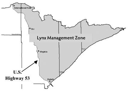 Lynx Management Zone Regulations Trapping regulations in northeast Minnesota have been modified to restrict, modify or eliminate the incidental take of Canada lynx.