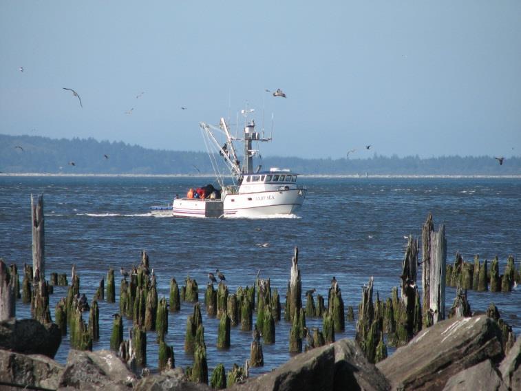 Commercial Anchovy Fishery Public Meeting February 15,