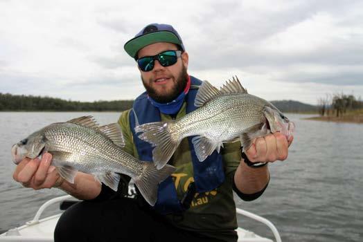 The Australian bass is renowned as a prized sportfish for many anglers targeting the freshwater.
