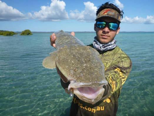 Finesse jigheads are often the go-to for bream, flathead, bass, trout and other light line targets.