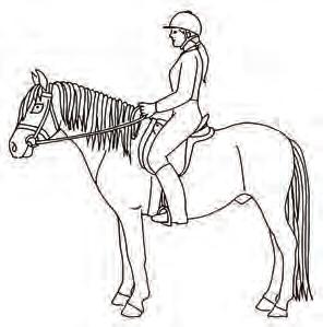 Quiz 9 How to sit on a pony (rider s position at halt) A B C Circle the correct answer 1. Which rider has the best position? A B C Tick the correct answer 2.