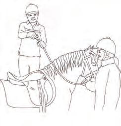 Quiz 5 Parts of a saddle P m How to get on a pony (mount up) C _le With your right hand holding the buckle, slide