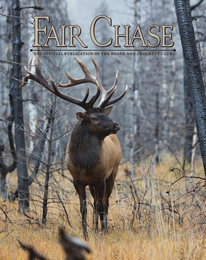 PRINT FAIR CHASE RATE CARD ADVERTISING RATES AND SPECIFICATIONS AD SIZES FREQUENCY DISCOUNTS 1X 2X 4X Inside Front Cover $2,517 $2,360 $2,074 Inside Back Cover $2,517 $2,360 $2,074 Back Cover $2,752