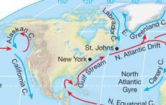 Ocean Currents Ocean Current: Large bodies of water with similar characteristics of heat and density that travel together.