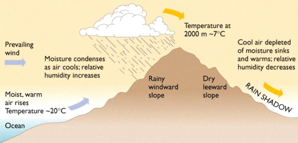 Relief/ Orographic Precipitation Occurs when moist air moves of a mountain barrier.