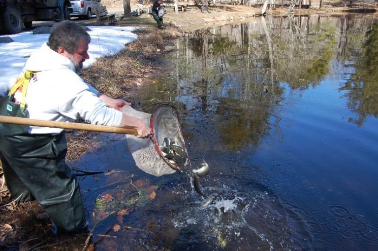 Trout Stocking in Connecticut Why Do We Do It? A major objective of the Connecticut Fisheries Division is to enhance and diversify recreational fishing opportunities within Connecticut.