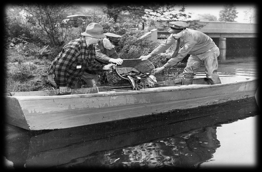 Trout Stocking in Connecticut A Brief History (continued) Trout management efforts during the 20 th century continued to emphasize stocking