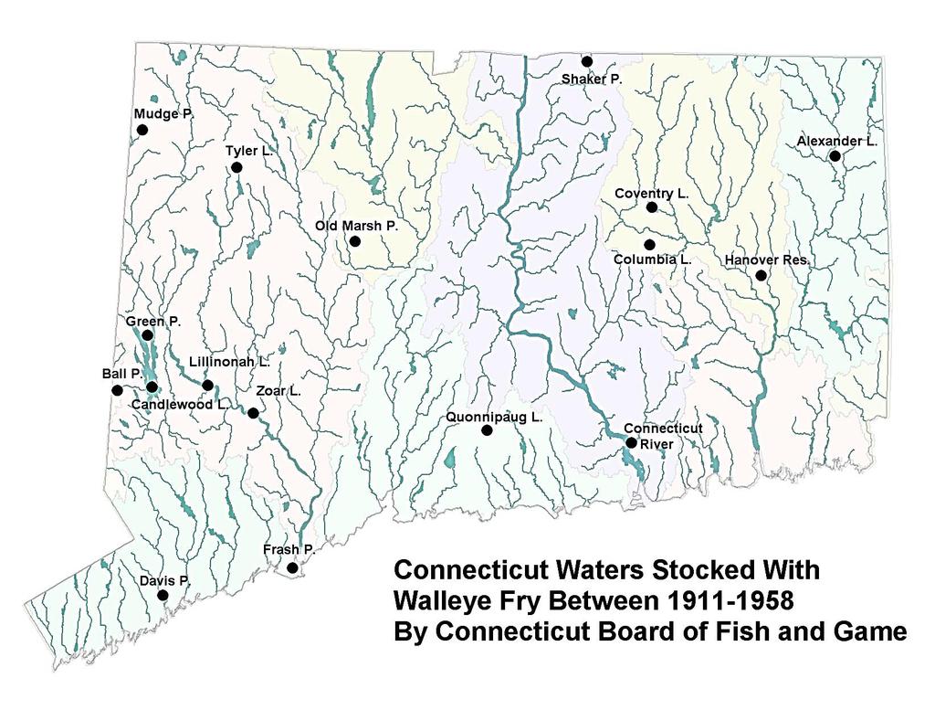 The Early Years of Walleye Stocking in Connecticut 1911-1958 - Walleye fry were intermittently stocked into 17 waterbodies throughout CT by the Connecticut Board of Fish and Game (BFG). How many?