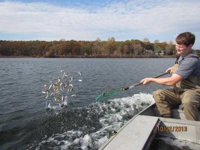 The Present State of Affairs In CT Walleye