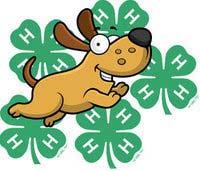 However when certifying your dogs on 4-H CONNECT, you will select ONLY ONE 4-H youth member to conduct the certification under.